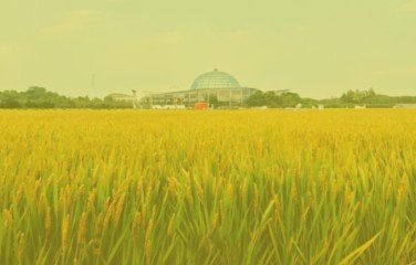 2026年6月10日