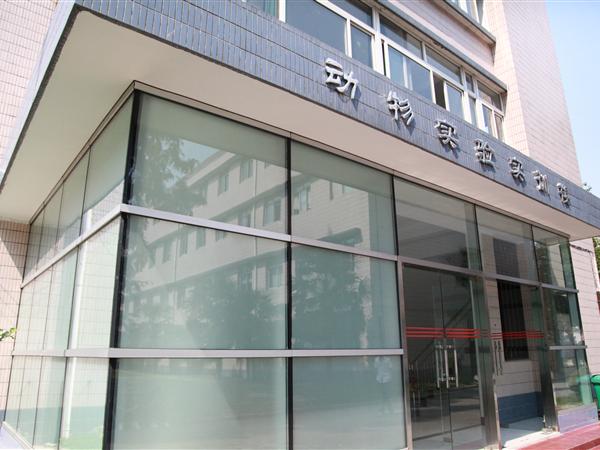 2026年6月1日