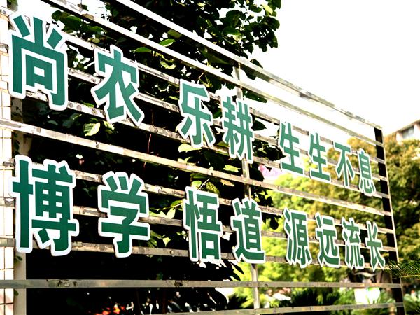 综合楼第一会议室